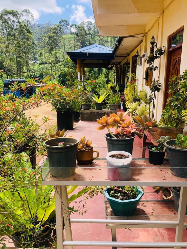 Vegetable Garden House Hotel Nallathanniya Exterior photo